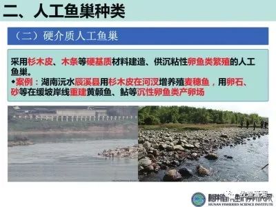 鱼的淡水养殖技术_淡水养殖鱼技术视频_淡水鱼养殖技术全集