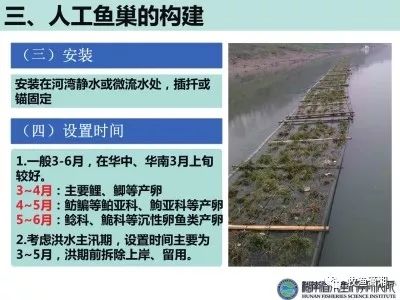 淡水养殖鱼技术视频_淡水鱼养殖技术全集_鱼的淡水养殖技术