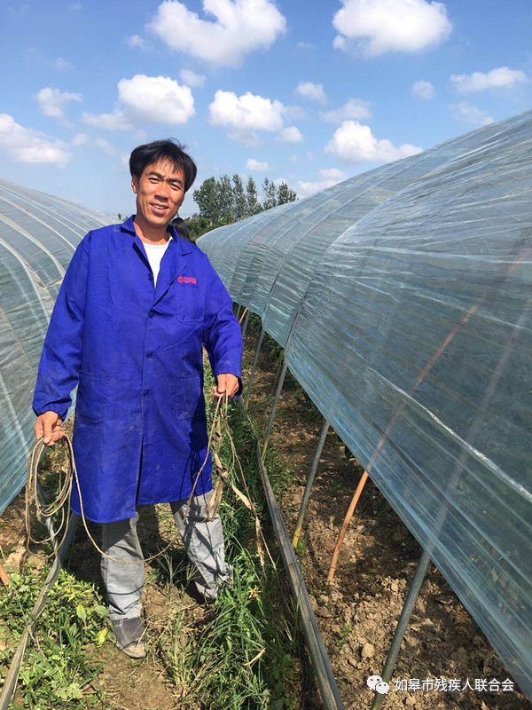 南通种植什么农作物_南通种植什么致富_南通蔬菜种植基地