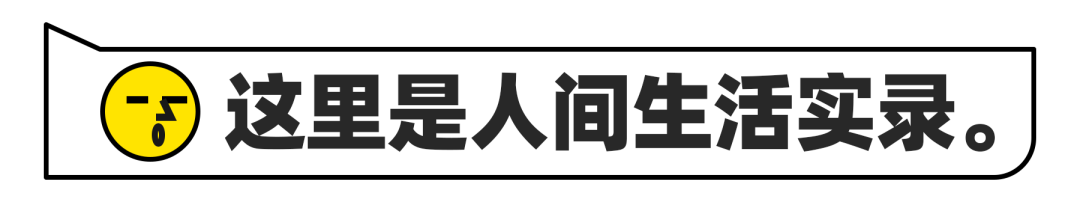 致富经豪猪_致富经豪猪养殖技术_致富经豪猪视频