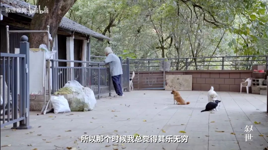 致富经豪猪养殖技术_致富经豪猪视频_致富经豪猪