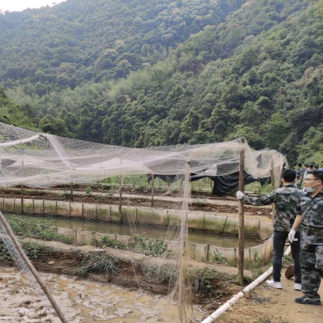 牛蛙养殖视频教程_养殖牛蛙前景如何_中国牛蛙养殖技术视频