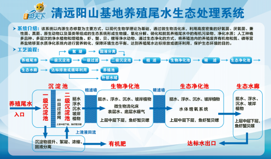 牛蛙养殖视频直播_中国牛蛙养殖技术视频_养殖牛蛙视频大全