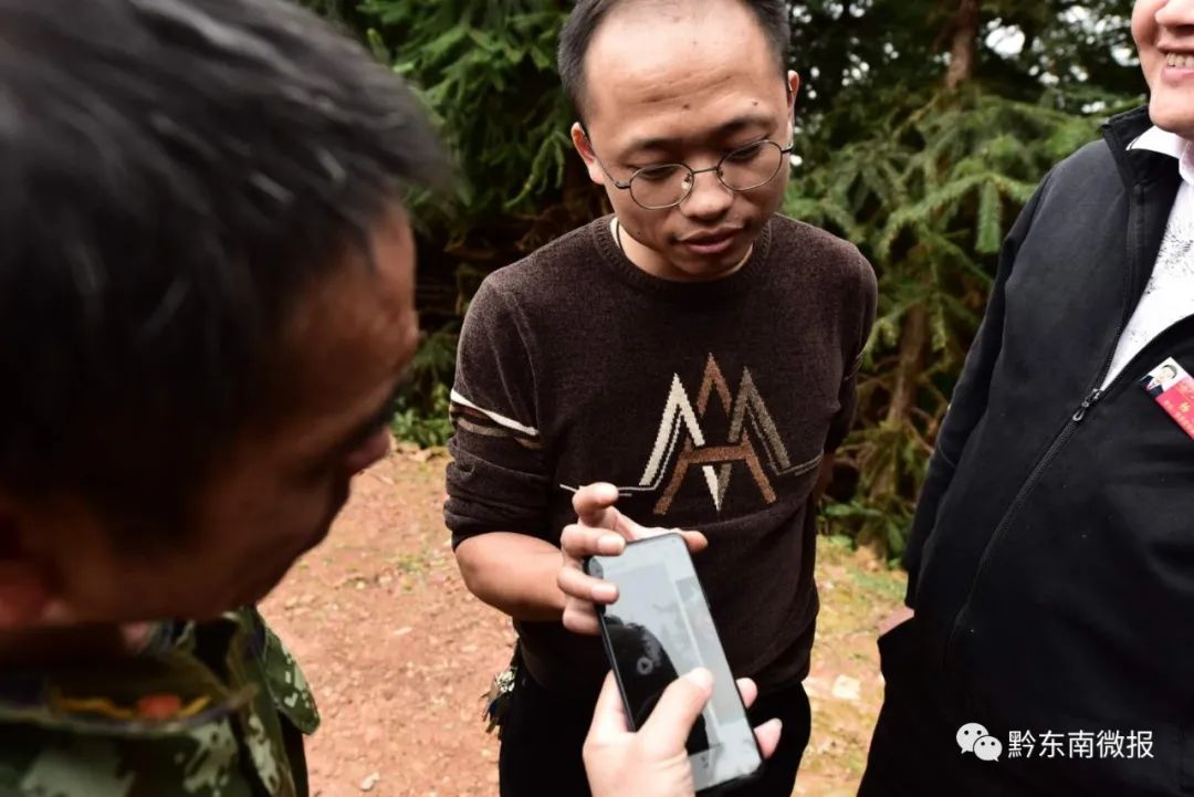 贵州养殖技术胡蜂基地在哪_贵州胡蜂养殖技术_贵州养蜂视频