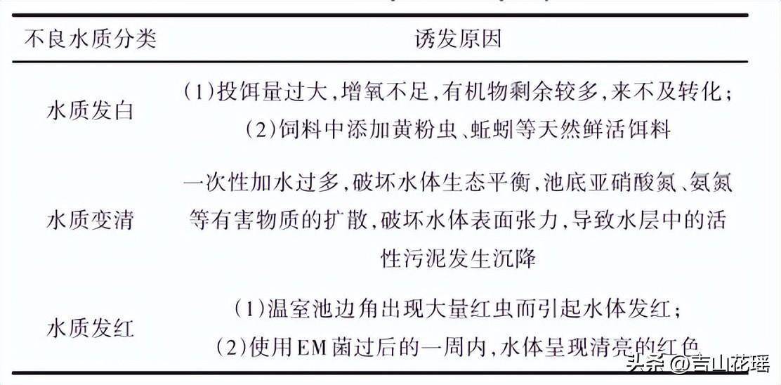 田里养甲鱼_田甲鱼养殖技术大全_田鳖养殖技术