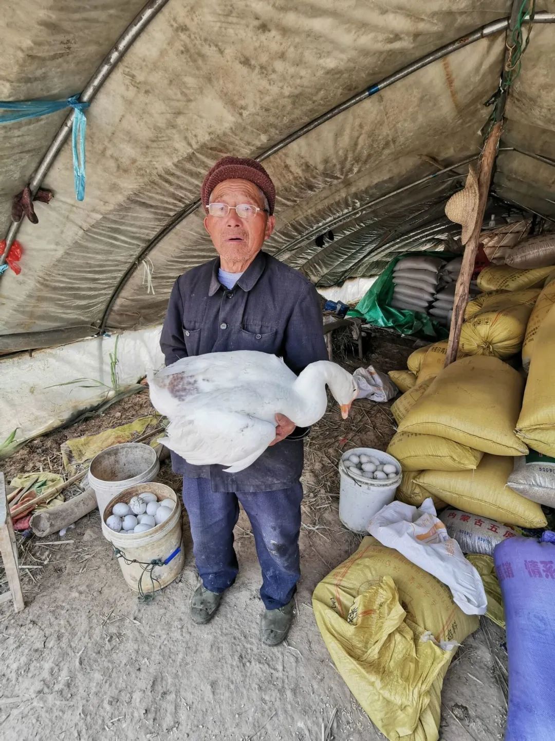 致富养殖人通过什么渠道_养殖致富经_通过养殖致富的人