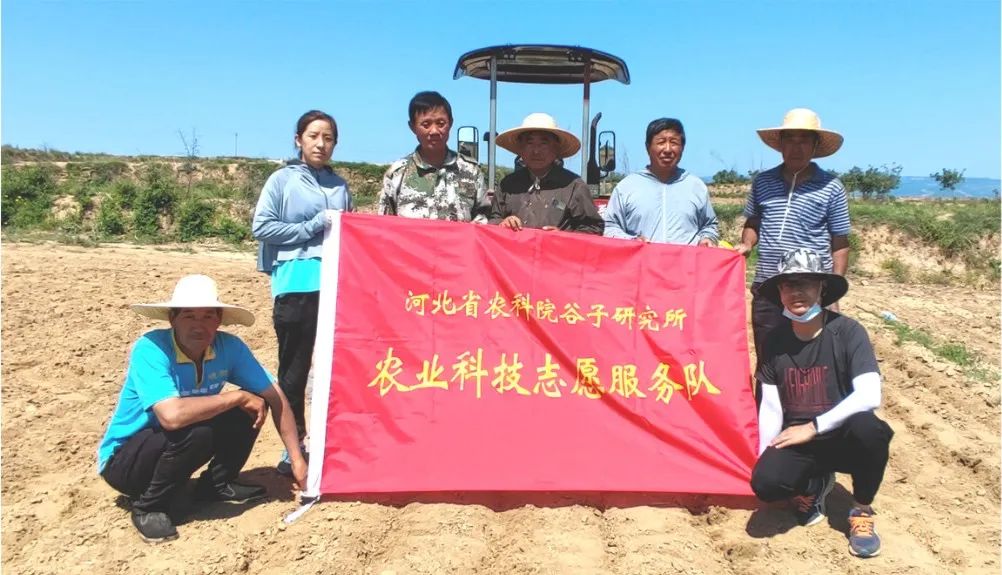 视频种植谷子技术教程_视频谷子的种植技术_谷子种植技术与管理视频