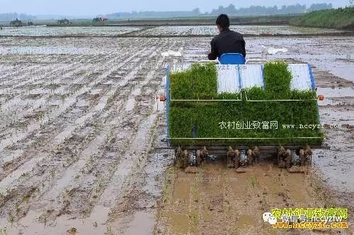 2017年湖南、湖北、江苏、辽宁重点扶持哪些农村致富项目？