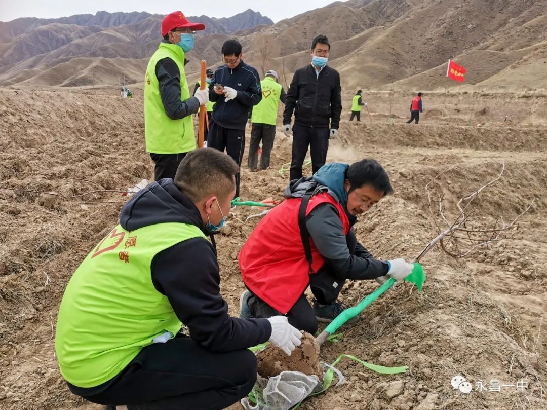 种树致富全部视频_一个人如何种植致富树_致富种植树个人总结