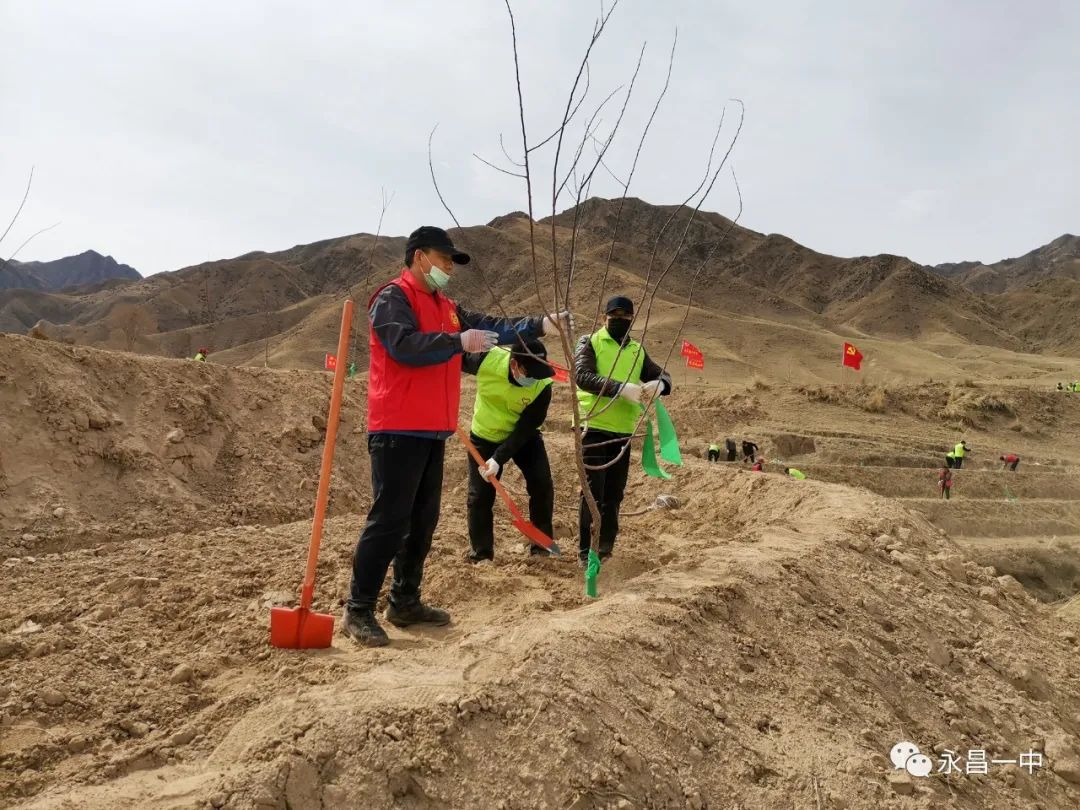 种树致富全部视频_一个人如何种植致富树_致富种植树个人总结