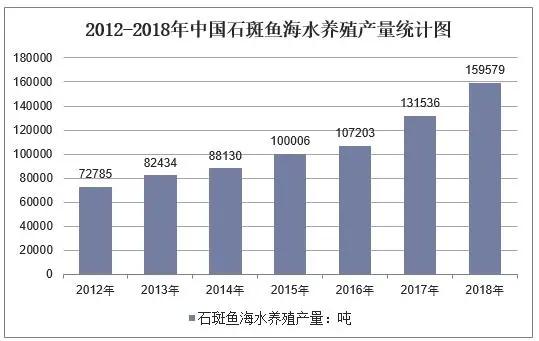 石斑鱼养殖最新技术_石斑鱼养殖技术教程_如何养殖石斑鱼苗种