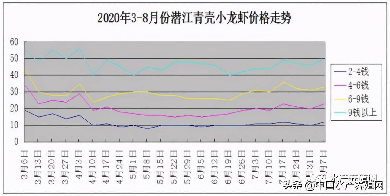 四川龙虾养殖技术_四川龙虾养殖基地全景_龙虾养殖项目实施方案