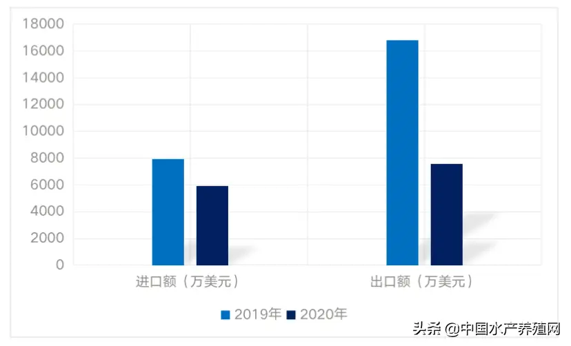 龙虾养殖项目实施方案_四川龙虾养殖技术_四川龙虾养殖基地全景