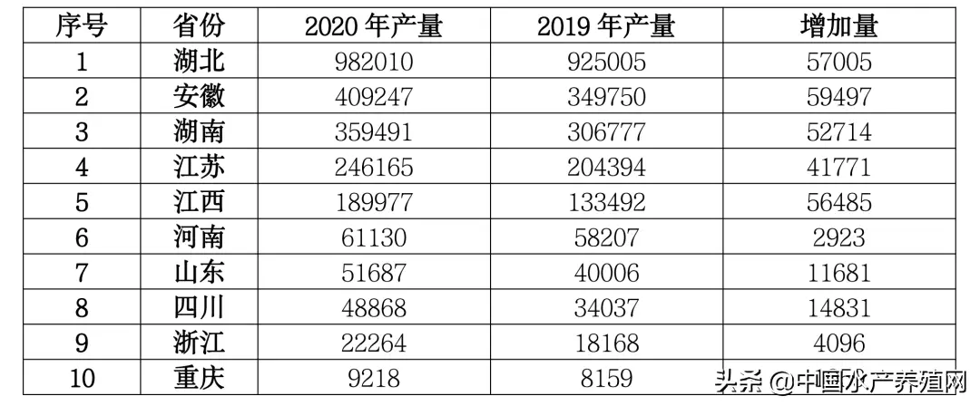 龙虾养殖项目实施方案_四川龙虾养殖技术_四川龙虾养殖基地全景