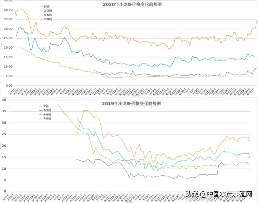 四川龙虾养殖技术_龙虾养殖项目实施方案_四川龙虾养殖基地全景