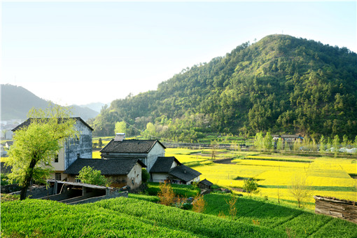 土地养殖致富项目_致富养殖土地项目招标_致富养殖土地项目介绍