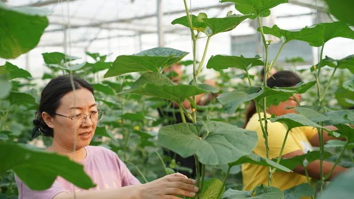 适合湘西种植的果树_湘西种植什么水果好_湘西种植致富果