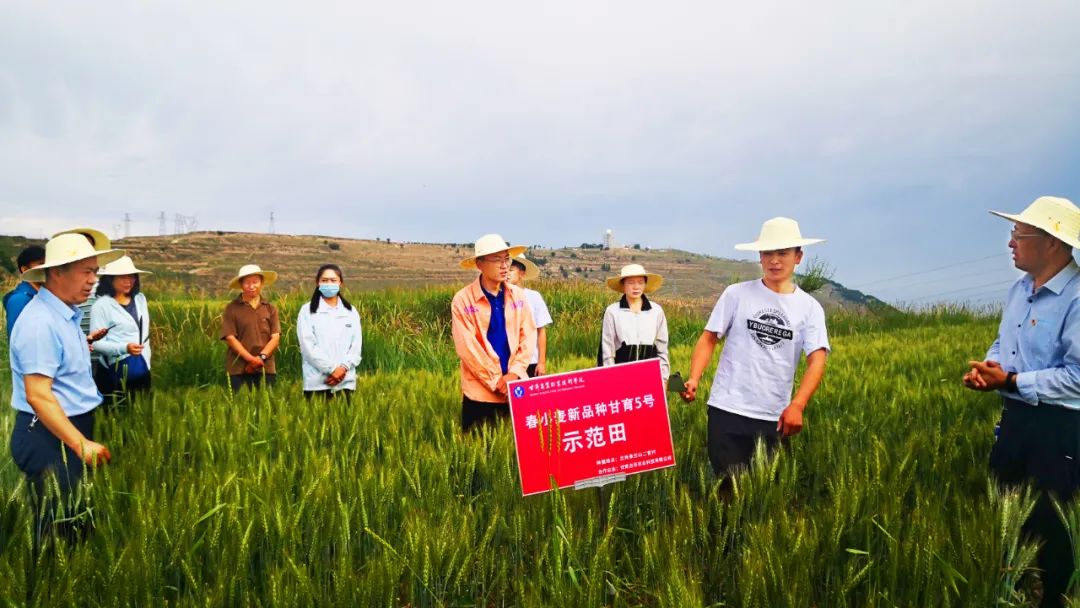 甘肃土鸡养殖致富_甘肃养鸡厂_甘肃养鸡场