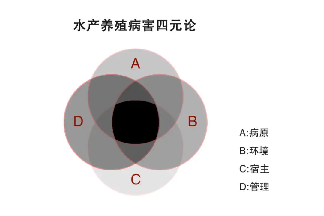 高密度养殖致富视频全集_致富养殖好项目大全_致富经高密度养鱼视频