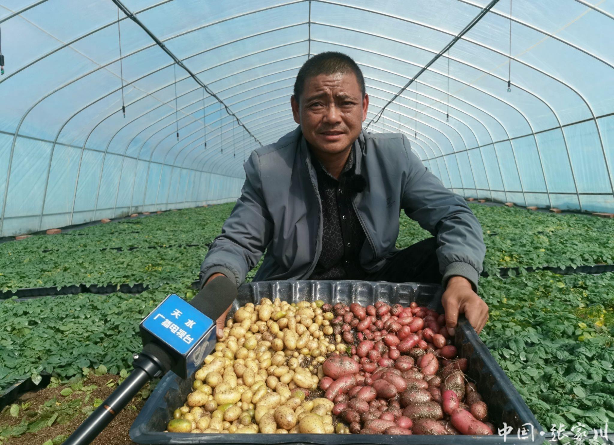 致富经田里怎样种土豆_土豆致富带头人_土豆致富经