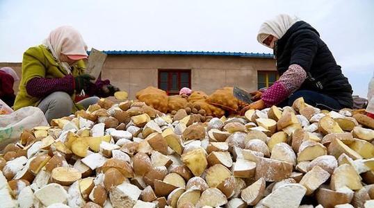 土豆致富带头人_农广天地种植土豆技术视频_致富经田里怎样种土豆