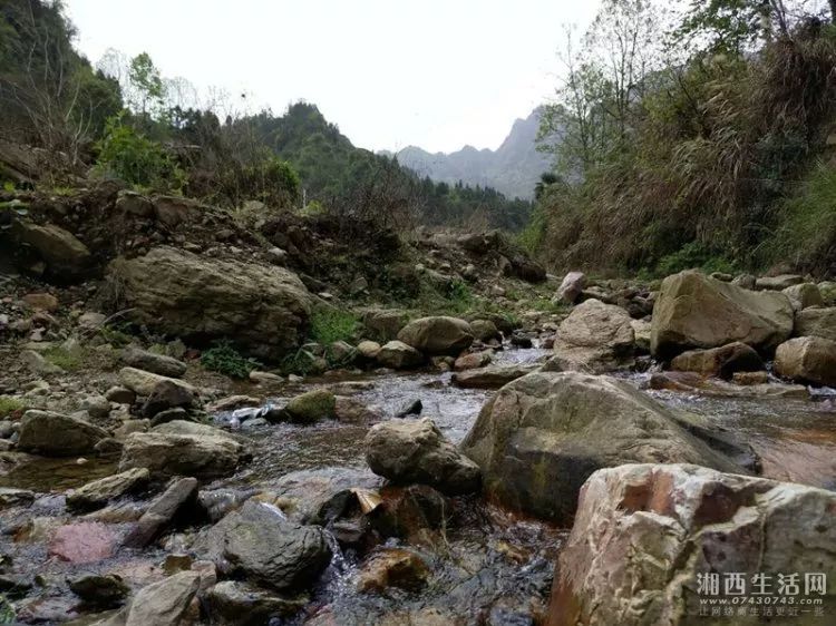 小型土黄牛养殖利润成本_致富经土黄牛养殖视频_士黄牛养殖