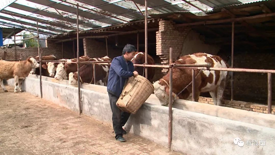 养殖致富活水_活水养殖技术_致富经活水养鱼视频