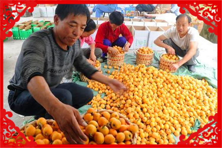 致富发家的项目_发家致富种植什么发家致富_2021发家致富项目