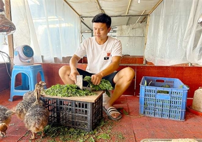 遂宁养殖致富能人_农民致富养殖业_致富养殖好项目大全