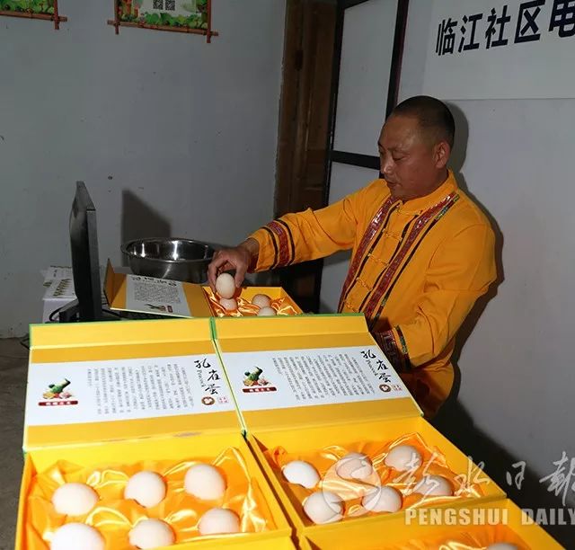 孔雀菜种植致富_孔雀养殖视频致富经_孔雀菜种子