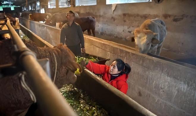 致富经潘远香_潘远香视频领奖视频_致富经靠手走路潘远香