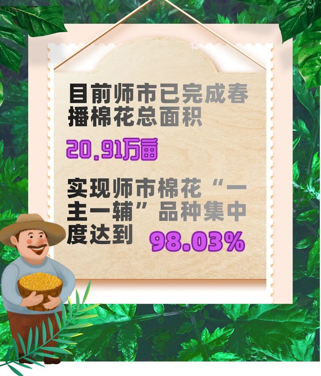 新闻致富种植香椿视频_新闻致富种植香椿树视频_香椿种植致富新闻