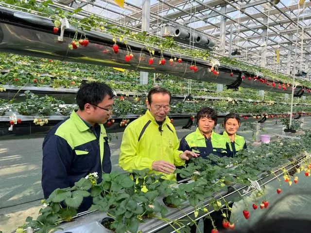 三农致富经种植项目_致富三农种植技术是什么_三农种植技术致富