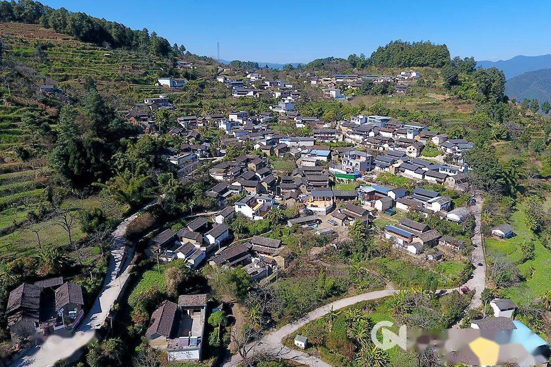 致富经香椿种植视频_种植香椿的前景_香椿种植致富新闻