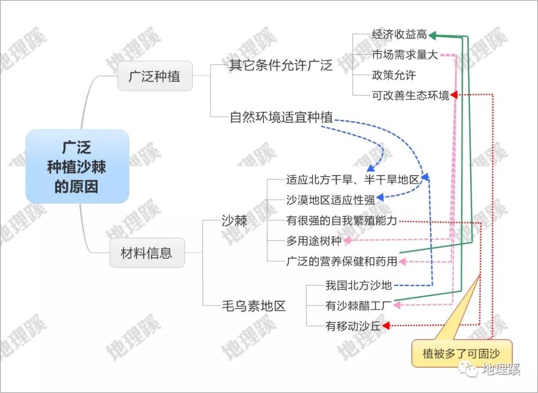 一亩地种草能养牛_致富经新疆_种草 致富经南疆