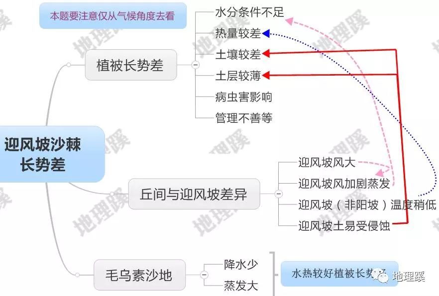 一亩地种草能养牛_致富经新疆_种草 致富经南疆