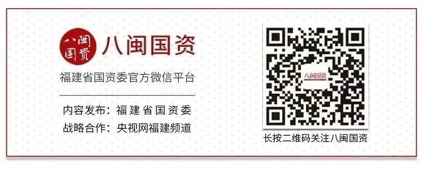 斑老鼠养殖技术视频_老鼠斑技术养殖_老鼠斑饲养