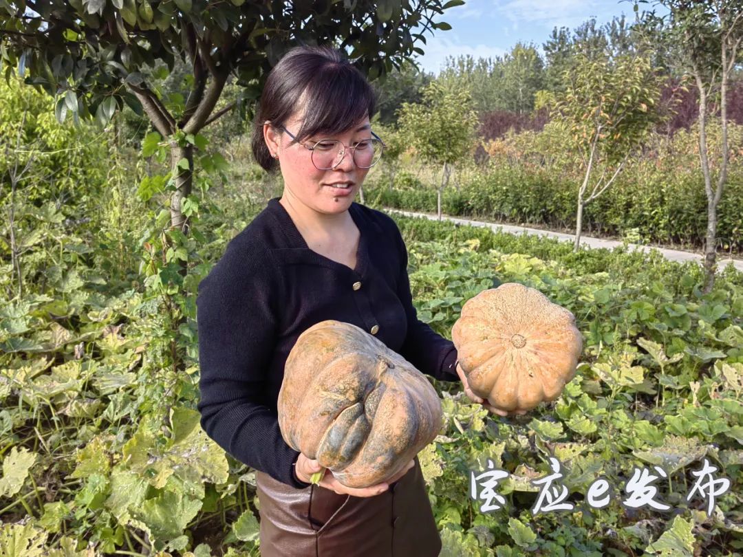 立体种植致富技术_致富立体种植技术是什么_立体高效种植技术