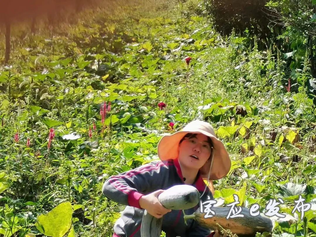 致富立体种植技术是什么_立体种植致富技术_立体高效种植技术