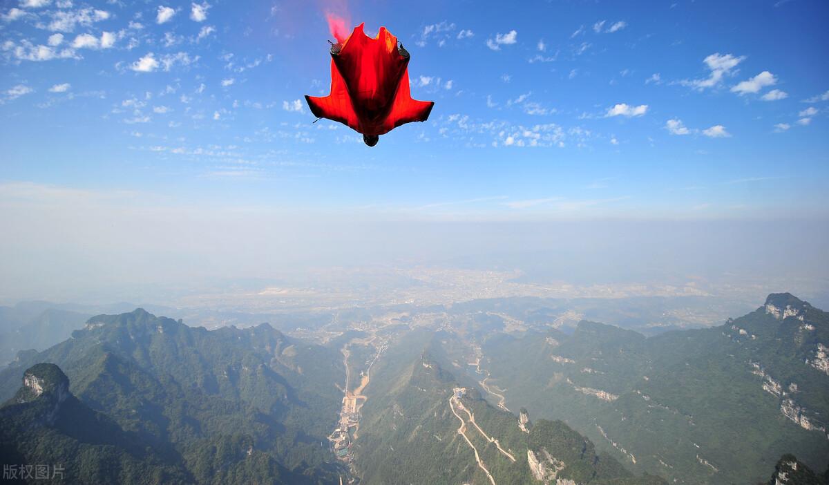 复齿鼯鼠致富经_复齿鼯鼠致富经_复齿鼯鼠致富经