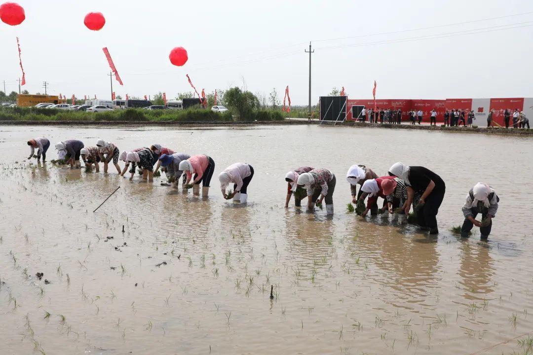 粮食优质工程典型经验发言_优质粮食工程总结_优质粮食工程典型经验交流