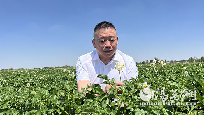 农民种植致富网_致富种植视频全集_致富种植农民网名大全