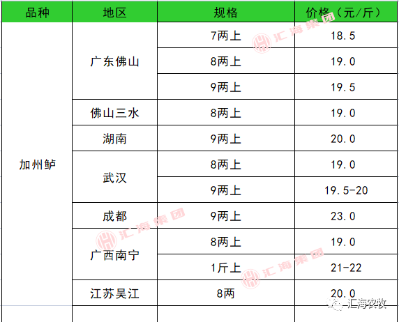 致富经鲈鱼养殖视频_鱼塘养殖鲈鱼_致富经养鲈塘