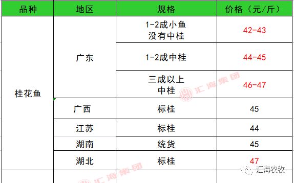 鱼塘养殖鲈鱼_致富经鲈鱼养殖视频_致富经养鲈塘