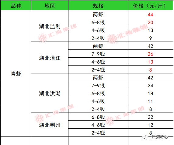 致富经养鲈塘_鱼塘养殖鲈鱼_致富经鲈鱼养殖视频