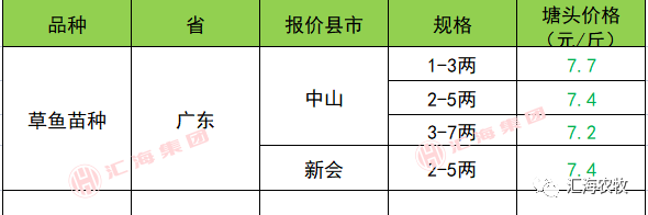 致富经养鲈塘_致富经鲈鱼养殖视频_鱼塘养殖鲈鱼