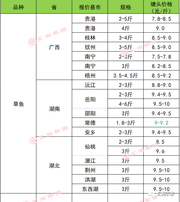 鱼塘养殖鲈鱼_致富经鲈鱼养殖视频_致富经养鲈塘