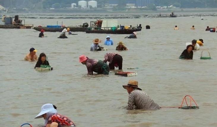 禁渔期，宁波这个地方为啥可以淘海鲜？许多外地客也闻鲜而至