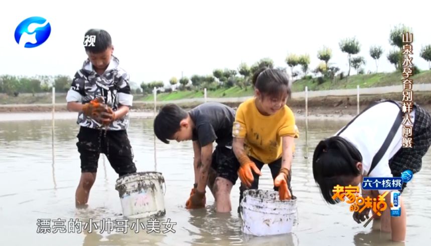 河南养殖富豪_致富经河南养羊_致富经河南养殖