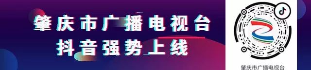 农民种地致富_未来农民种植致富_农村致富新项目种植业